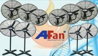 Phân phối quạt AFan tại Bình Dương